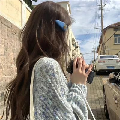 白鸥啊 不要飞起来